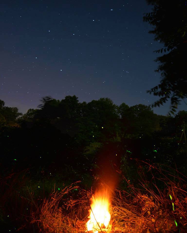bonfire with night sky