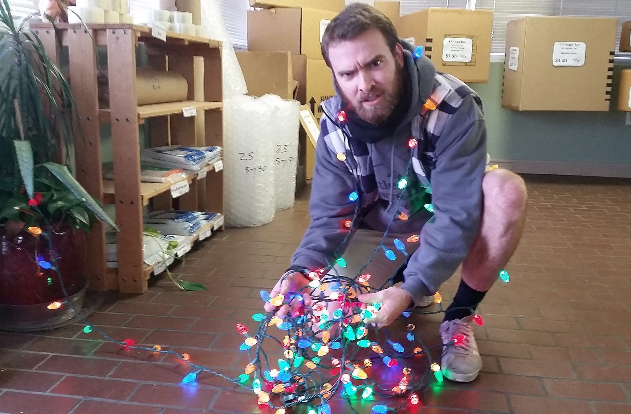 Mover untangling Christmas lights