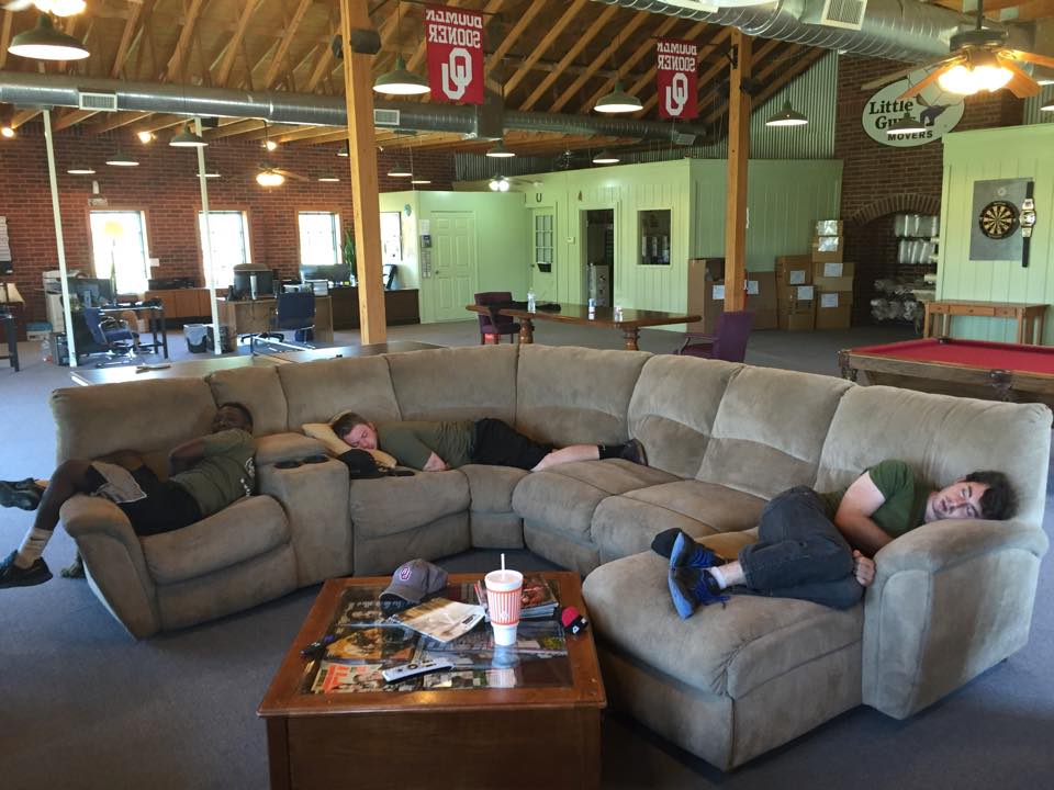 Norman movers napping on a couch
