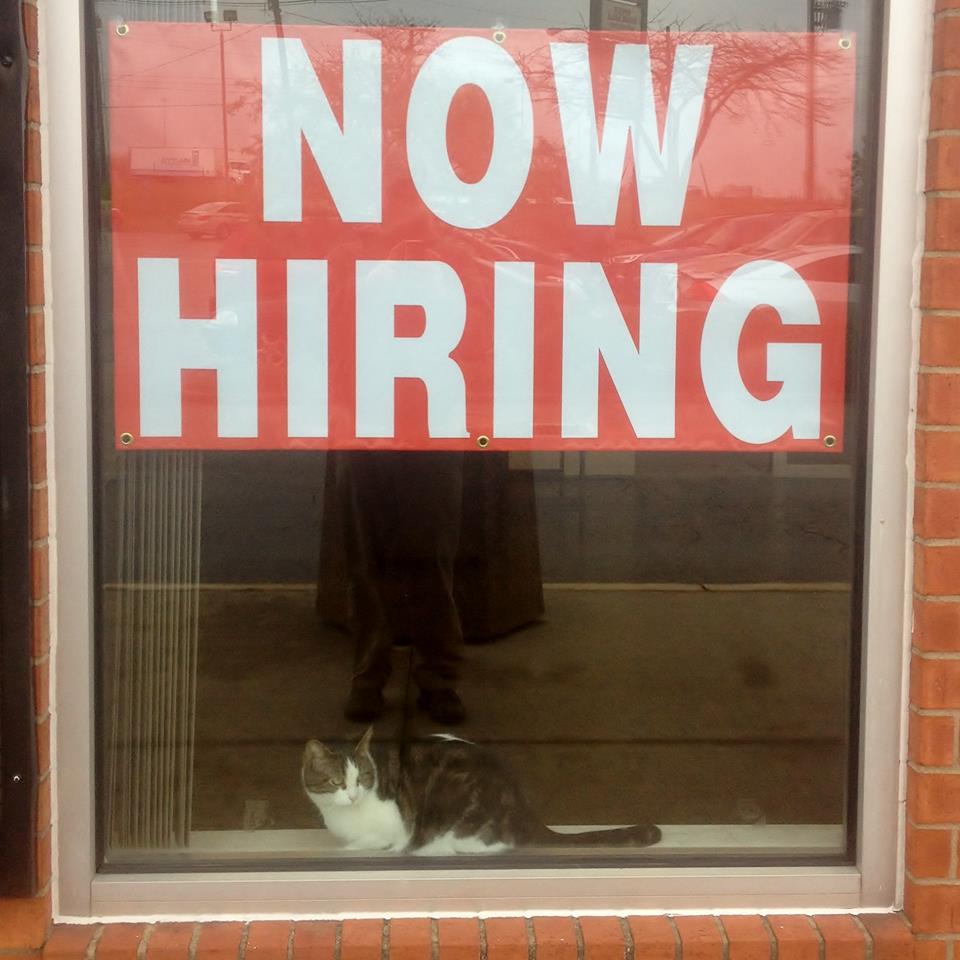little guys movers lexington now hiring sign with cat