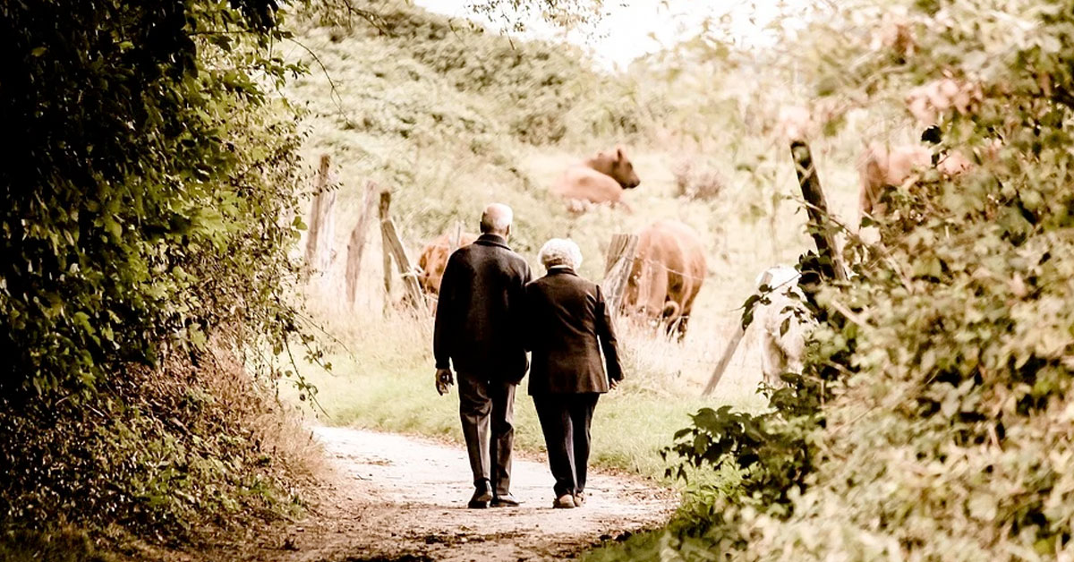 A senior couple walk arm in arm down a path in the green countryside.