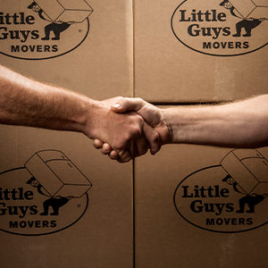 Little Guys employees shake hands in front of Little Guys branded boxes