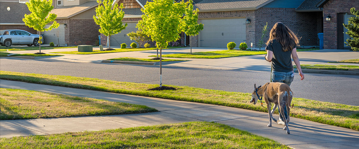 Person walking their dog through a Lubbock neighborhood